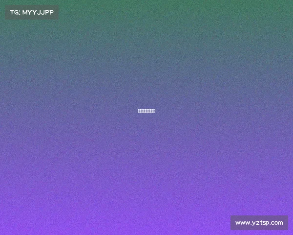 综合格斗锦标赛