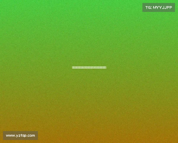 全国武术锦标赛武林群英荟萃争锋荣耀弘扬中华武魂